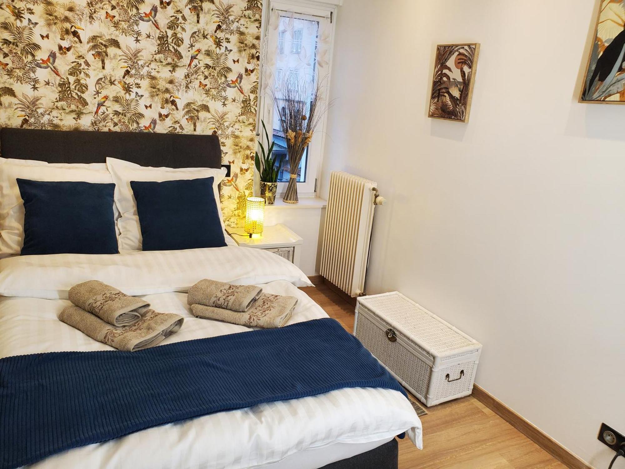 Mirka & Franck Apartment Chic 4 Stars Parking Free Colmar Exteriör bild