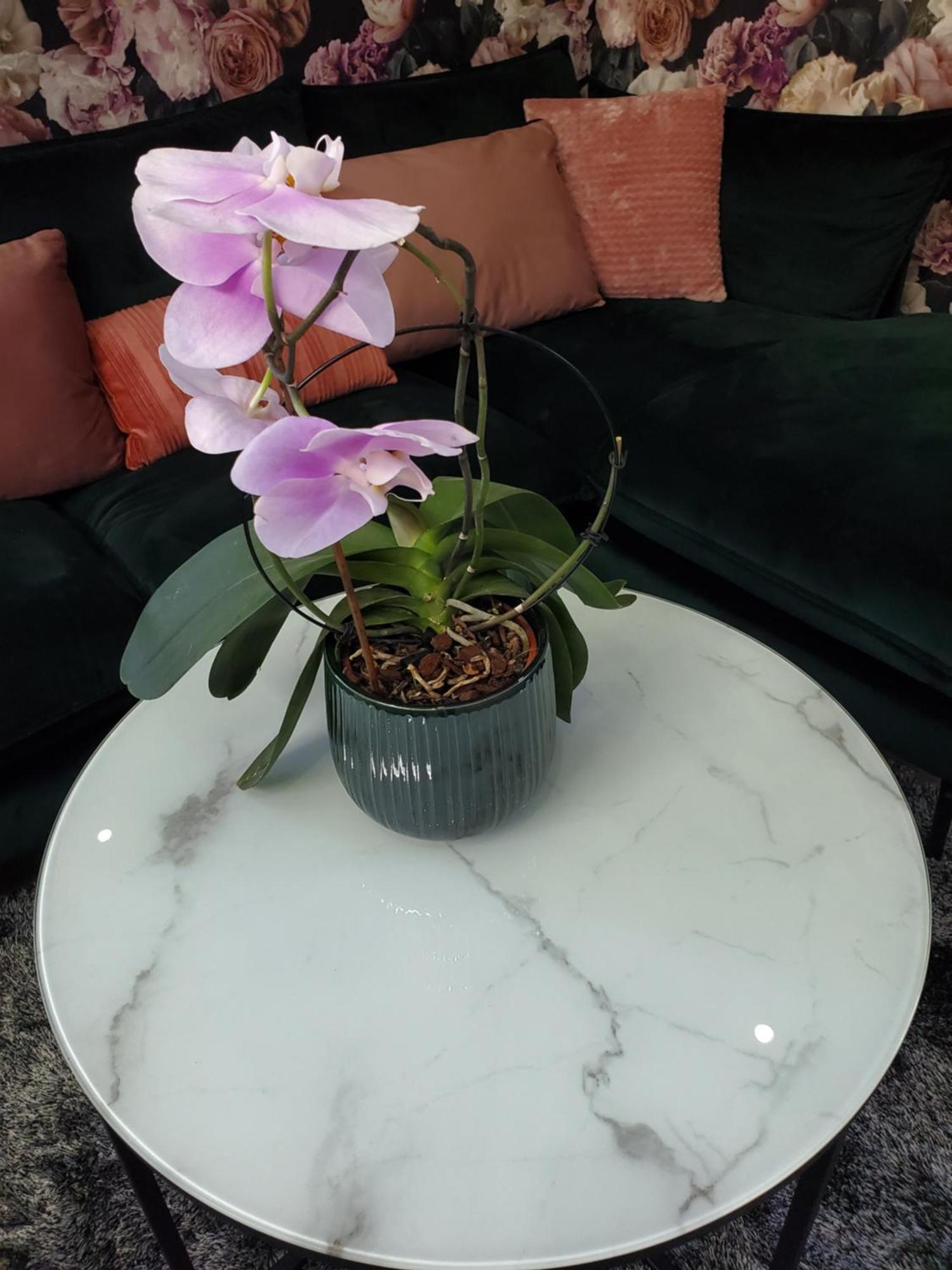 Mirka & Franck Apartment Chic 4 Stars Parking Free Colmar Exteriör bild